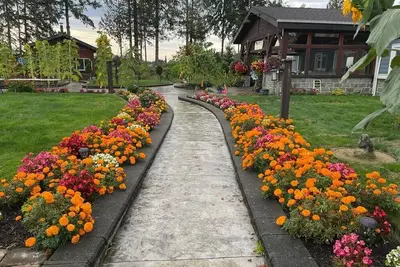 Image de Mountain View Farm Experience!
