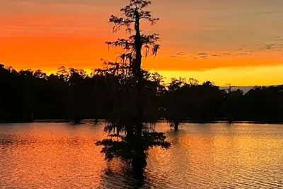Image de Iatt Lake Cabins and Kayaks Fish House