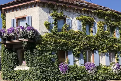 Image de Appartement Ă Oberrotweil vue sur vignoble