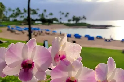 Image de 𝐅𝐢𝐧𝐝𝐢𝐧𝐠 𝐌𝐞𝐢𝐥𝐢’𝐬 Gorgeous KoOlina Beachfront Resort + Amenities. 1br