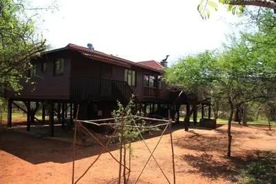 Image de Welcome in the bush Amazing moments to share with wildlife