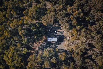 Image de Treetops 1 by Tiny Away