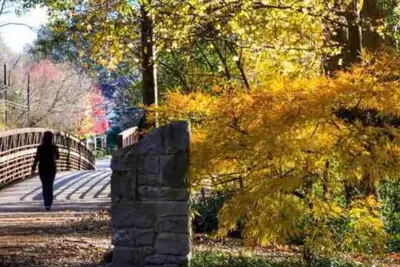 Image de Southern Charm in Buckhead