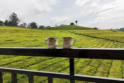 Image de Spacious and serene space with Tea Estate view from every room. \n