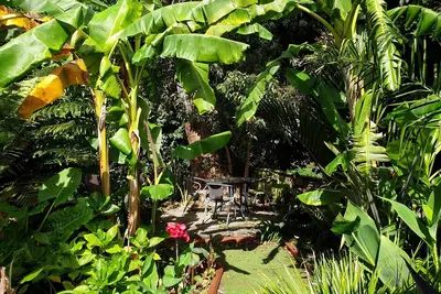 Image de Whanganui Haven, Complimentary Dinner, On-site Welcome, Luxury, Amazing Garden