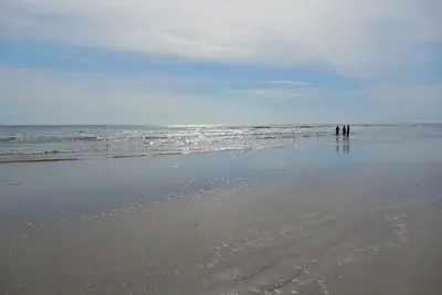 Image de The Turtles Nest, Freshly remodeled, All New! 1. 5 miles to beach.