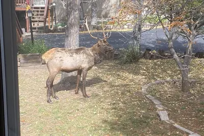 Image de Welcome to the Sierra Blanca Mountains!