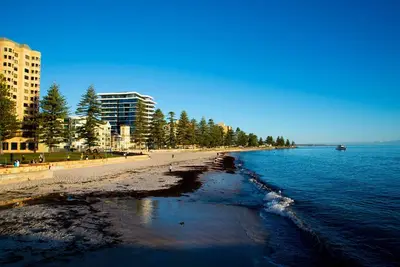 Image de The Loft Glenelg, Cosy-oasis beachside\nEntire home, Private fenced backyard