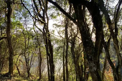 Image de Cabana Amélia