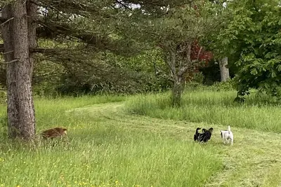 Image de La Clémendière : un paradis caché