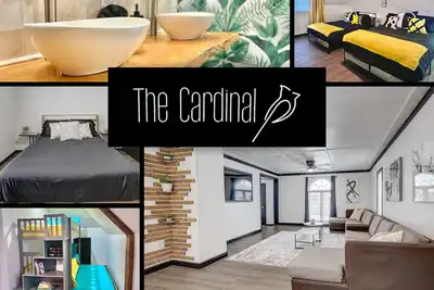 Image de The Cardinal: The Downtown Dream Sleeps 13!