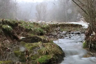 Image de Cozy Creekside Cottage with Skiing & Hiking Nearby