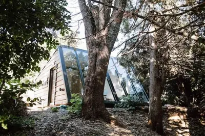 Image de House immersed in the Forest