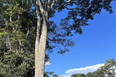 Image de Procurando Tranquilidade e Diversão? Nós Temos Ambiente Natural e Aconchegante