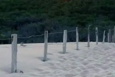 Image de Maison neuve 4 personnes à 3 minutes de la plage