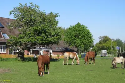 Image de Ferienwohnung mit 2 Schlafzimmern in Ruhiger Idyllischer Lage, Nordseenähe