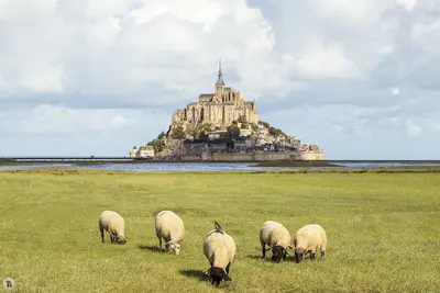 Image de Vue exceptionnelle sur la Baie et le Mont St Michel.