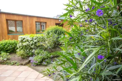 Image de Studios  20 m²  rez de chaussée - Résidence Le Rochebonne