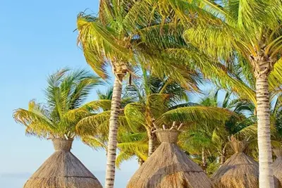 Image de Studio Villa del Palmar Cancun\n\n
