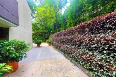 Image de New Listing! Come and live at one enchanted place in Castropol, Medellin.