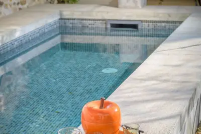 Image de L'annexe des Alpilles maison de village piscine