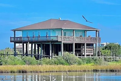Image de Gulf Pelican Villa - Oceanfront Luxury Oasis - Fully Fenced & Pet Friendly