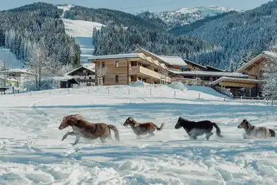 Image de Mariengut - Aparthotel Kramer