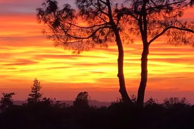 Image de New Winter Retreat 4b Hot Tub Sauna Pets Welcome with Tranquil Creek in Backyard