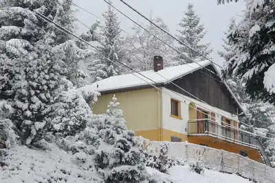 Image de Maison Vosgienne Proche de la Bresse et Gerardmer