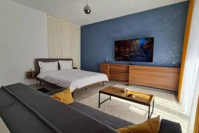 Image de Swiss Apartment 8