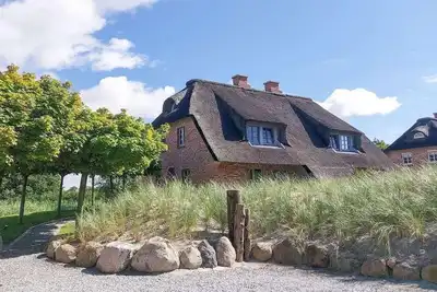 Image de Große Lachmöwe, Deutschland