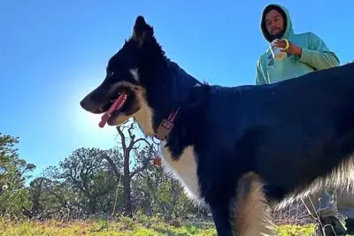 Image de Pet-friendly camping in the mountains\n\n