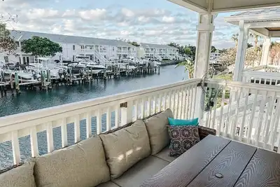 Image de Thaw out your toes and watch the dolphins play at Winterfarm Southeast!