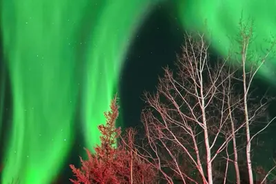 Image de Luxury Northern Light Oasis\n