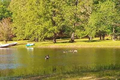 Image de 2-Bedroom Tiny Home with full kitchen, laundry, wifi, and beautiful pond views