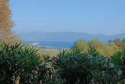 Image de Loue Studio à Serra Di Ferro idéal pour 2 personnes, entièrement rénové.