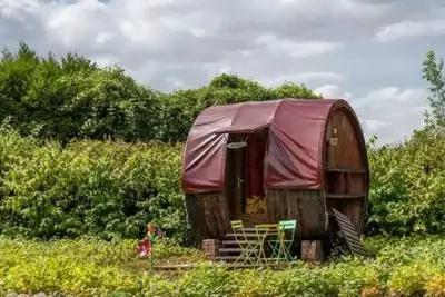Image de Cabane 2 étoiles - Piscine - eeceai