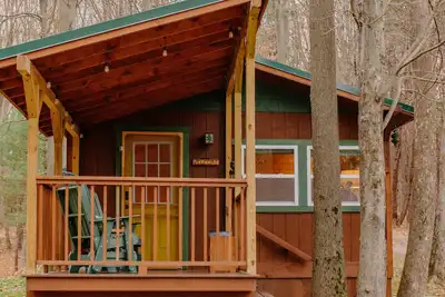 Image de Cozy Cabin with private woods in charming Rock Stream Ny.