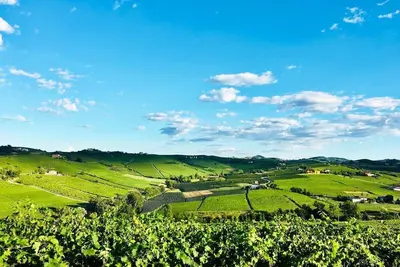 Image de Panoramic Villa In The Hills Of Monferrato
