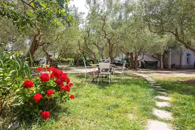 Image de Appartement de deux chambres avec la terrasse Pakostane, Biograd (A-22375-j)
