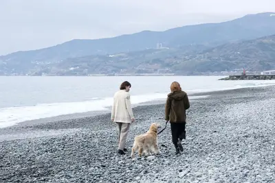 Image de Inu to Umibe