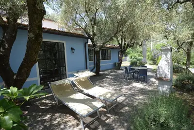 Image de Charming holiday home in an olive grove with large terrace and fenced garden, sh