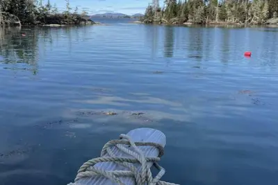 Image de Tip Toe Cottage overlooking Crockett's Cove