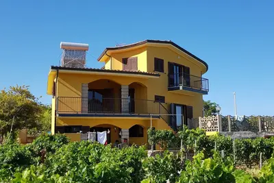 Image de Beautiful villa in the middle vineyard.