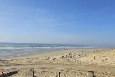 Image de Seignosse Appartement lumineux face dune T3 balcons Plage Penon front de mer