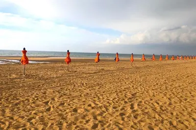 Image de Appartement de charme à 250 mètres de la grande plage de sable fin d’Houlgate!