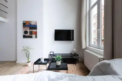 Image de Spacieuse appartement 2 chambres Ă Flagey 2