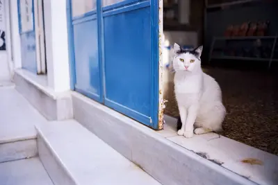 Image de Beautiful Santorini Villa | La Perla Suite | Breathtaking Caldera Sea & Sunset Views and Hot Tub | Oia