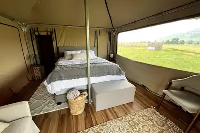 Image de Pine Tent Structure