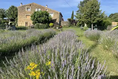 Image de Le gîte d'Agathe en Luberon, vivre une expérience en pleine nature!